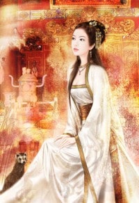 迷失在一六二九